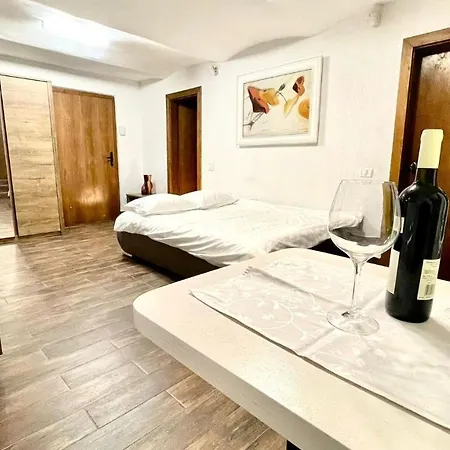 Ultracentral Apartment Arad Exterior photo