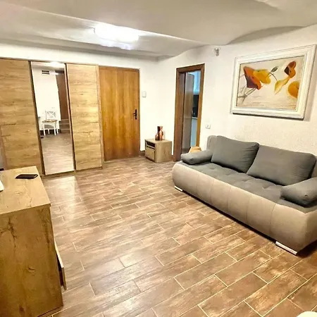 Ultracentral Apartment Arad Exterior photo