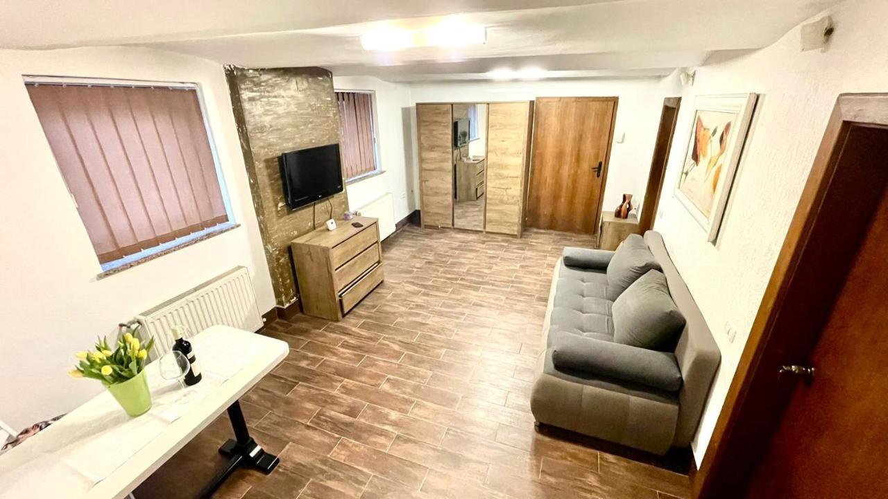 Apartment Ultracentral Arad